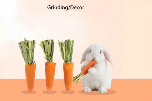@Patoun-holding a carrot with decorative carrots on a beige background